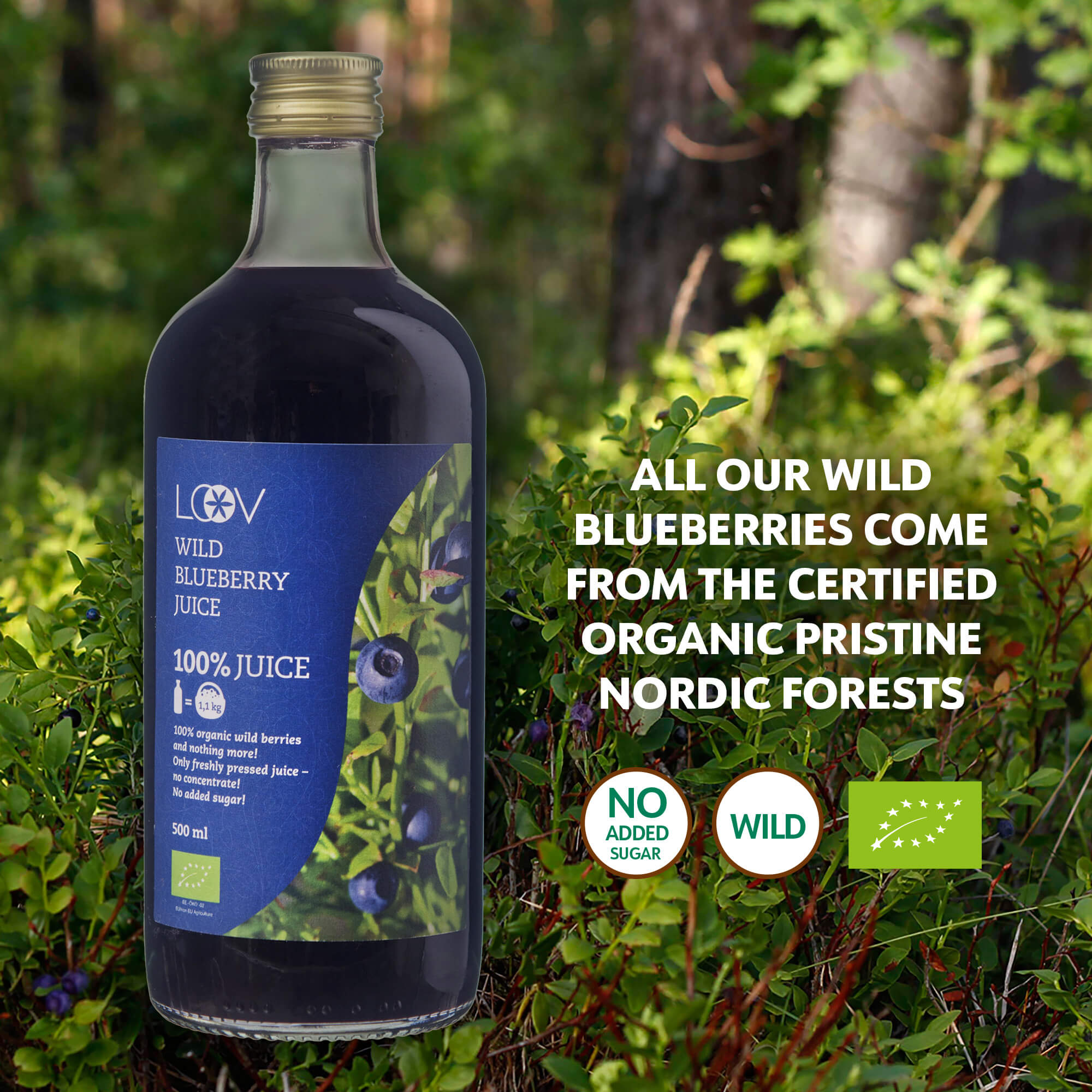 Sumo Mirtilos Selvagens - Wild Blueberry Juice - 0,5l