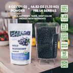 Mirtilos Selvagens em Pó - Wild Blueberry Powder - 171g