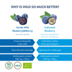 Mirtilos Selvagens em Pó - Wild Blueberry Powder - 171g