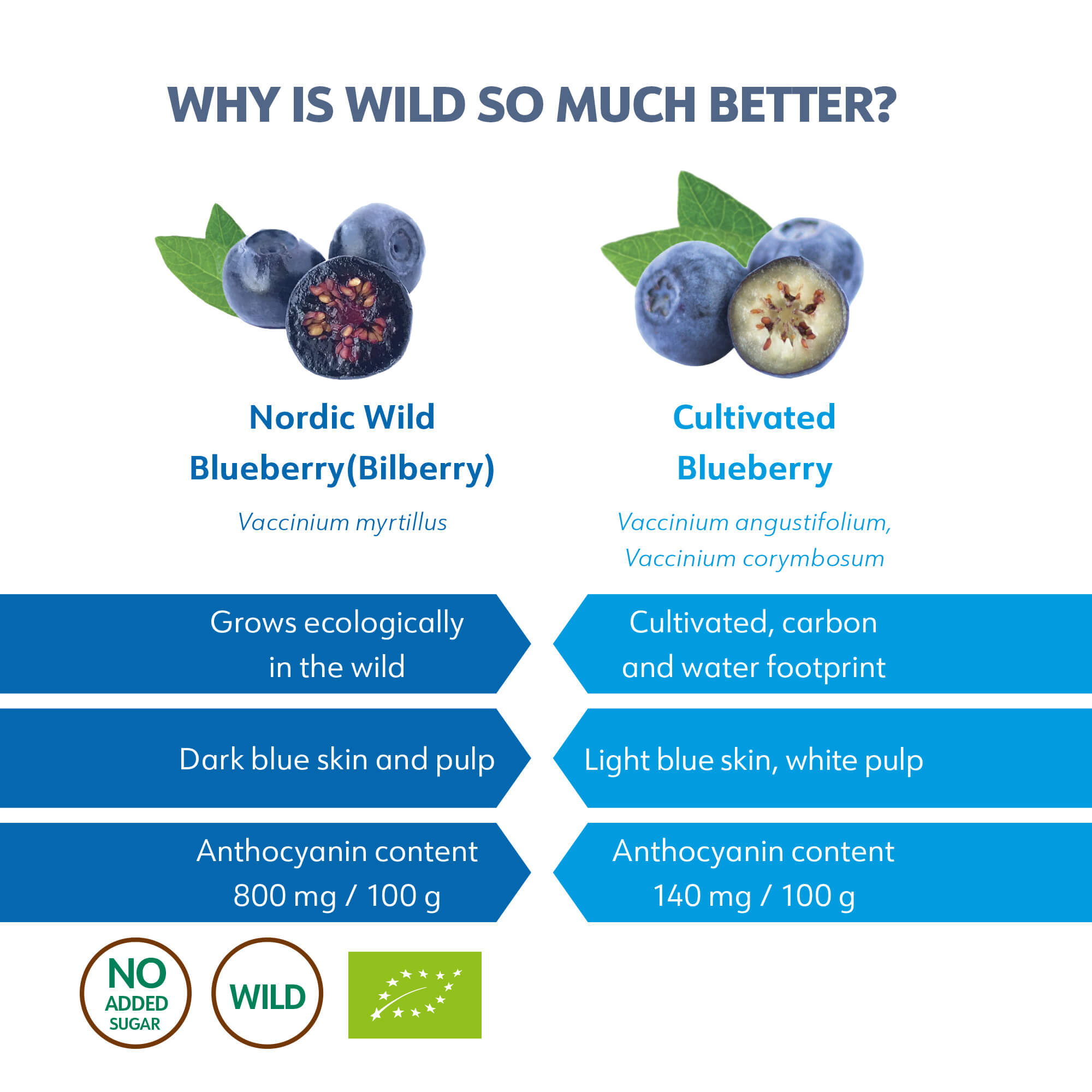 Mirtilos Selvagens em Pó - Wild Blueberry Powder - 171g