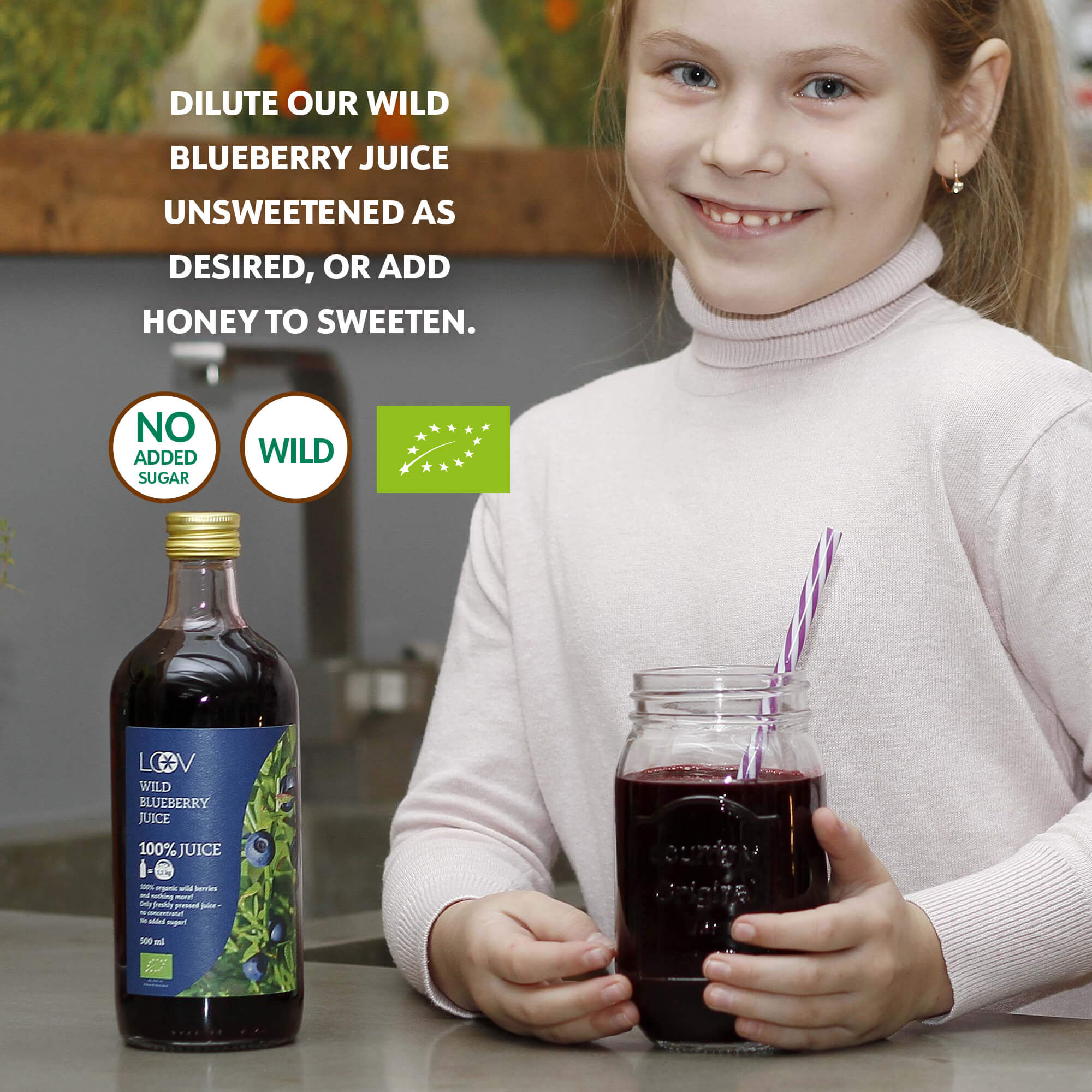 Sumo Mirtilos Selvagens - Wild Blueberry Juice - 0,5l