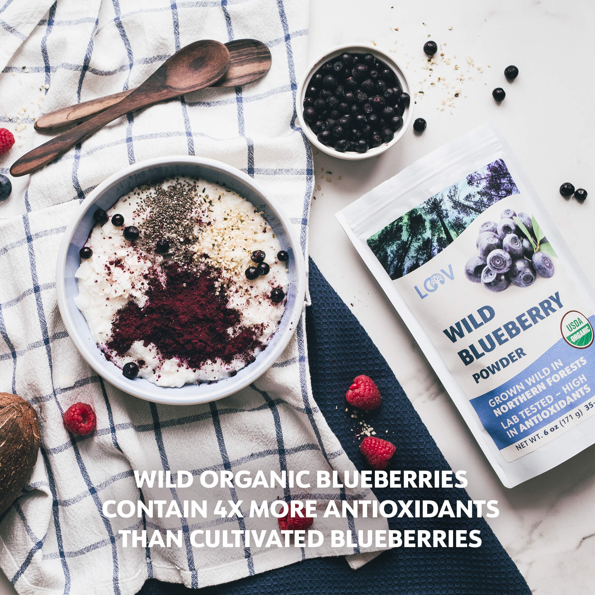 Mirtilos Selvagens em Pó - Wild Blueberry Powder - 171g