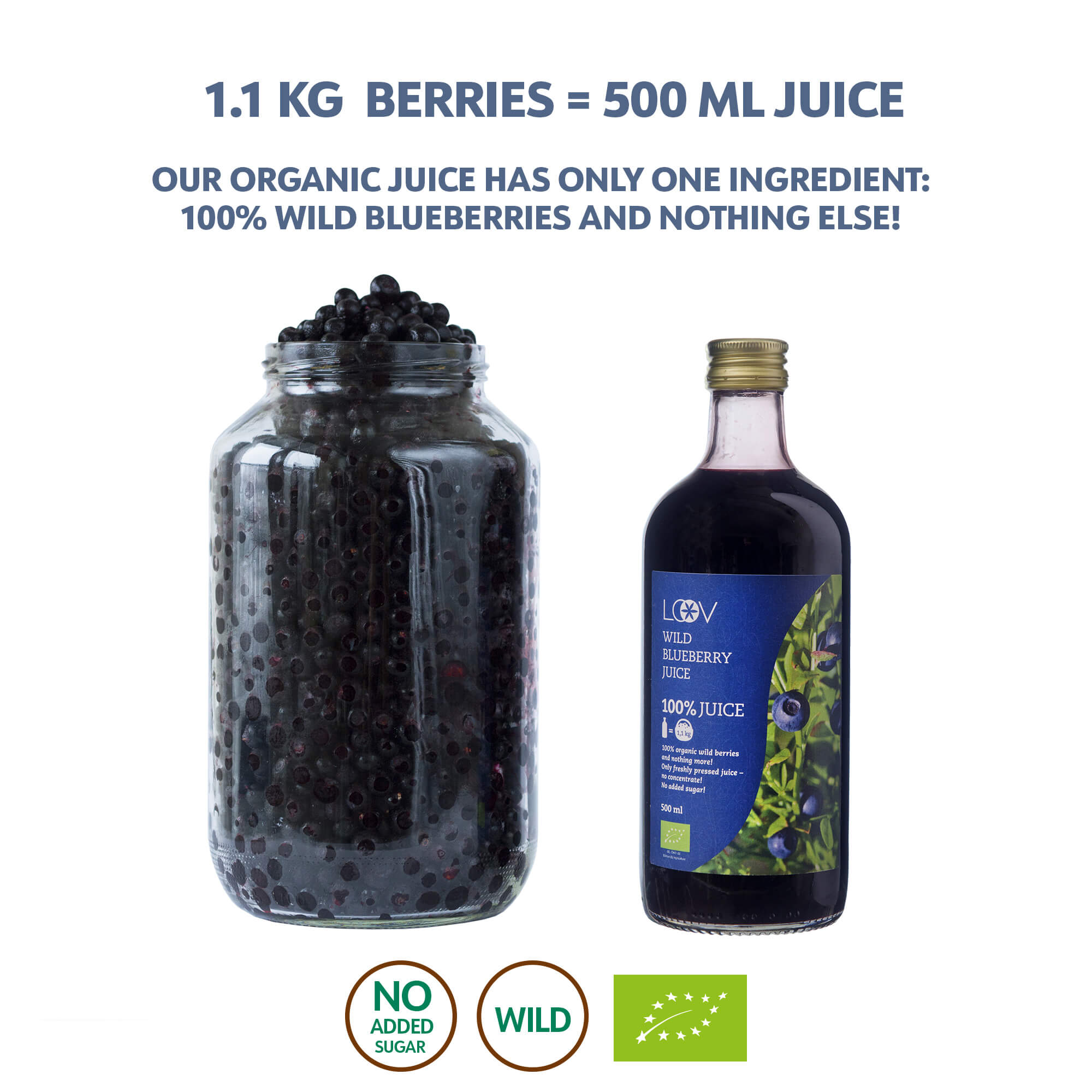 Sumo Mirtilos Selvagens - Wild Blueberry Juice - 0,5l