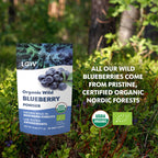 Mirtilos Selvagens em Pó - Wild Blueberry Powder - 171g