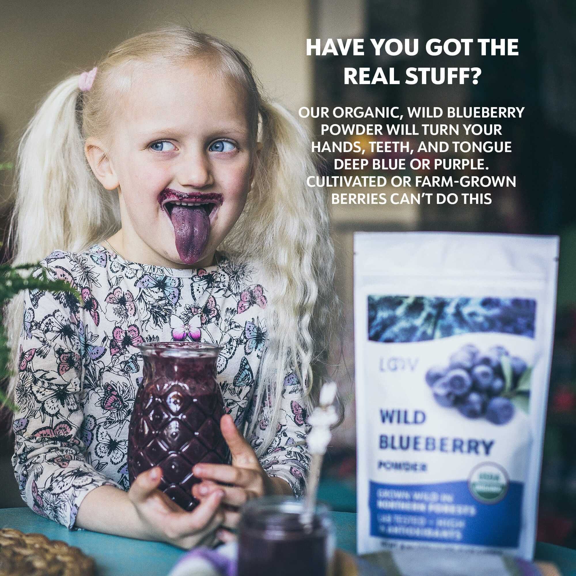 Mirtilos Selvagens em Pó - Wild Blueberry Powder - 171g