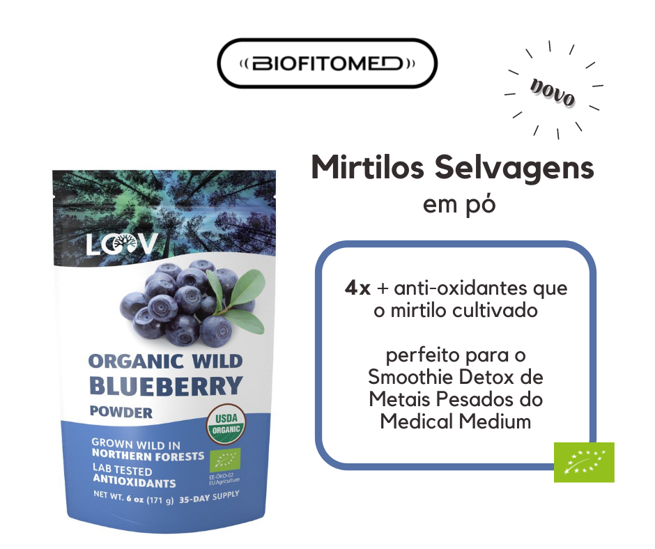 Mirtilos Selvagens em Pó - Wild Blueberry Powder - 171g